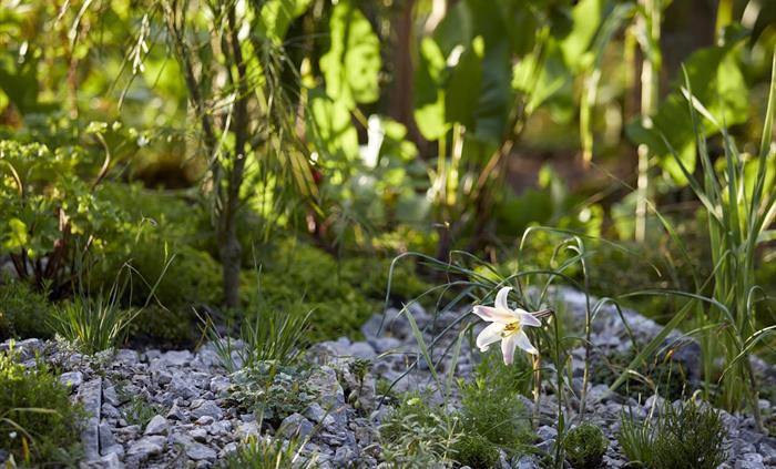 Treborth Botanic Garden